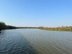 -宁波杭州湾国家湿地公园