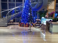 -视界美食自助餐厅·石家庄希尔顿酒店