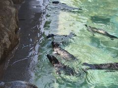 -蓬莱欧乐堡海洋极地世界