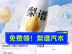 -小吊梨汤·北京菜·烤鸭(双井乐成中心店)