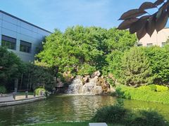 -北京国家会计学院