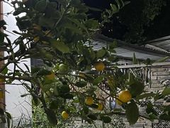 -凤来栖·净庭院·火锅(欧尚店)