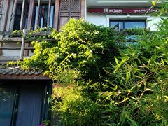 -慢丽江·云南野生菌土鸡锅(西山店)