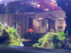 -阿莉餐厅(枣阳路店)