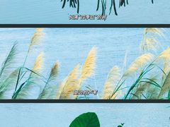 -广东花都湖国家湿地公园