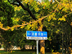 -八大关景区