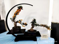 -上海滨江森林公园