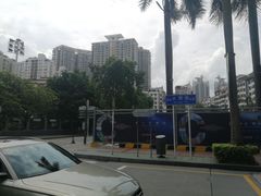-水围村