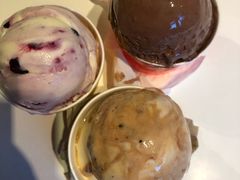 酸奶水果-Patagonia Chocolates(皇后镇店)