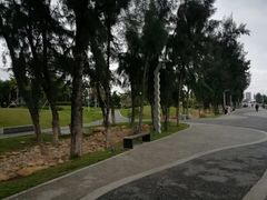 -宝安西湾红树林湿地公园