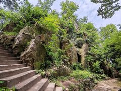 -紫金山山顶公园