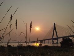 -芒洲湿地公园