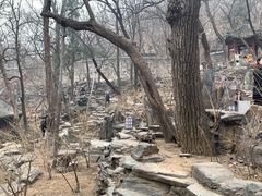 -大觉寺-停车场