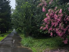 -国家植物园南园