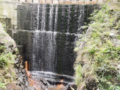 -大奇山国家森林公园