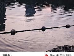 -天鹅湖体育公园