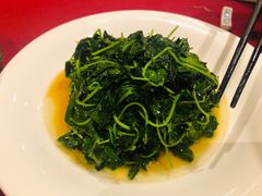 酒香豆苗-老吉士酒家(天平路店)