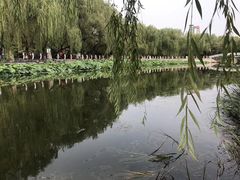 -满都海公园