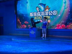-石家庄海洋公园