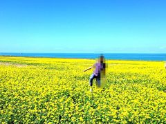 -青海湖国家重点风景名胜区