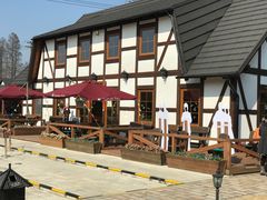 -金山农民画村-枫泾波兰倒置屋