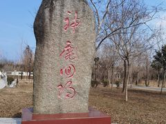 -黄海国家森林公园