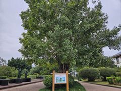 -福建鲤鱼洲酒店