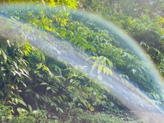 -武吉知马自然保护区