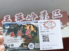 -王莽岭风景区