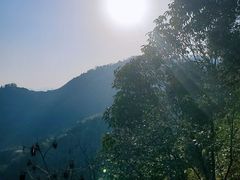 -莫干山风景区