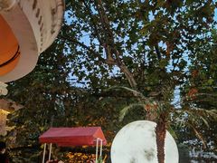 -弦月窗LUNETTE BY AMANDA(复兴路店)