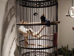 -清真·京华源铜锅涮肉(丰庆店)