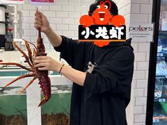 -悉尼鱼市场