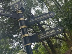 -福道