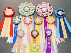 -青奢宠物·青奢猫舍