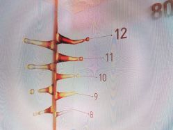 -悦诗风吟innisfree