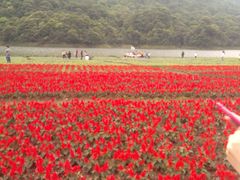 -广州市石门国家森林公园