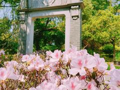 -深圳国际园林花卉博览园