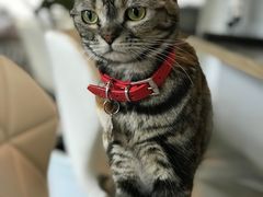 -小时光咖啡馆(北锣鼓巷店)