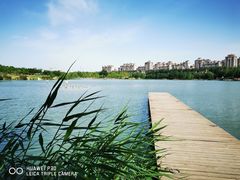 -马家湾湿地公园