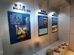 -中国地质大学逸夫博物馆
