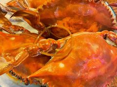 -甄品麦哲伦海鲜和牛自助(万达广场店)