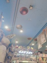 -卡通尼·Safari非洲探索乐园·生日会(金桥国际商业广场店)