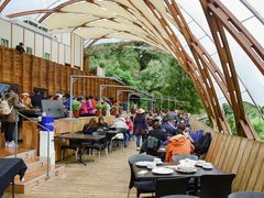 -怀托摩萤火虫洞