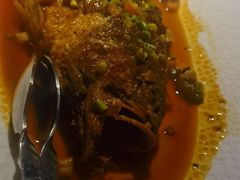 -三强鸽子(中原路店)