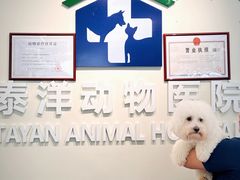 -泰洋动物医院·神经专科·磁共振·CT(天河公园总院)