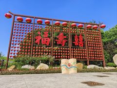 -合肥滨湖国家森林公园