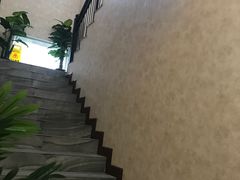 -宠爱国际动物医院· 猫科· 外科·中兽医(长白店)