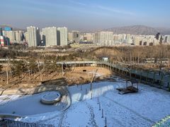 -青藏高原野生动物园