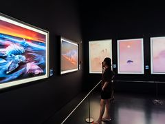 -罗红摄影艺术馆